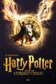 Harry Potter and the Cursed Child in Washington, DC