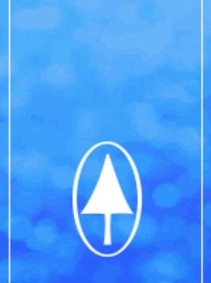 Point O'Pines Camp for Girls