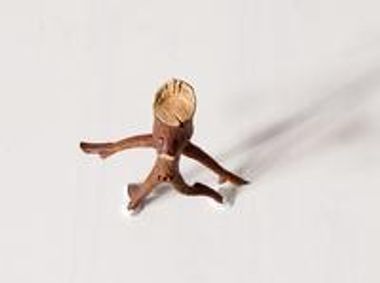 LITTLE BROTHER AND TWIGLET show poster