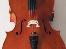 RINALDO ALESSANDRINI