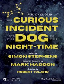The Curious Incident of the Dog in the Night-Time