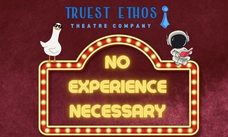 No Experience Necessary show poster