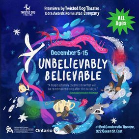 Unbelievably Believable show poster