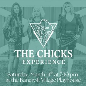 The Chicks Experience show poster