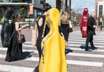 The Cellists of The Metropolitan Orchestra Live At Balmain Town Hall