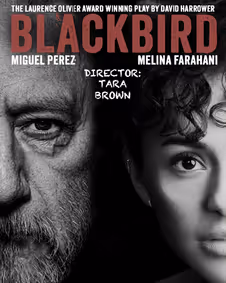 Blackbird By David Harrower show poster