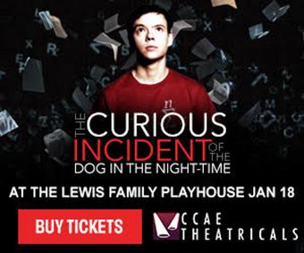 The Curious Incident of the Dog in the Night-Time show poster