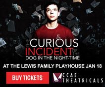 The Curious Incident of the Dog in the Night-Time