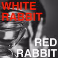 White Rabbit, Red Rabbit in Chicago
