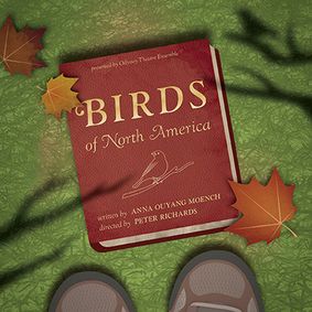 Birds of North America show poster