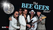 Bee Gees Now in Tampa