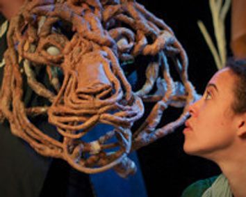 Daughter of the Forest show poster