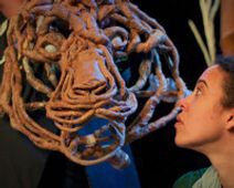 Daughter of the Forest