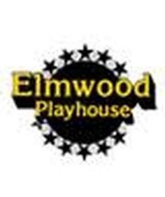 Private Eyes show poster