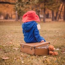 Paddington Bear's First Concert