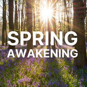 Spring Awakening show poster