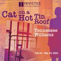 Cat on a Hot Tin Roof in Chicago