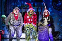 Dr Seuss' How the Grinch Stole Christmas! The Musical