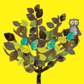 Wow! Said the Owl show poster