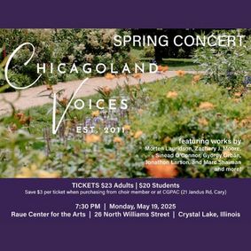 Chicagoland Voices show poster