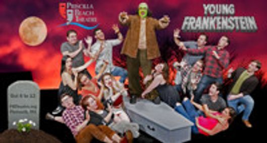 YOUNG FRANKENSTEIN show poster