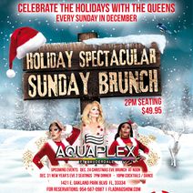 Holiday Spectacular Brunch Series at Aquaplex Fort Lauderdale