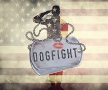 Dogfight