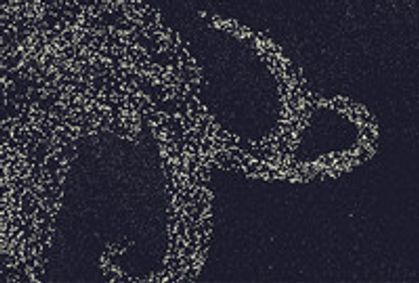 Seven Homeless Mammoths Wander New England show poster