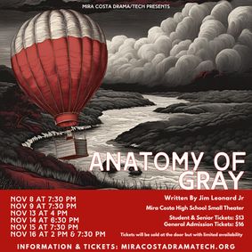 Anatomy of Gray show poster