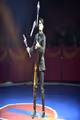 Do Portugal Circus arrived in Chicago in Chicago
