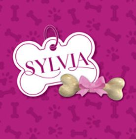 Sylvia show poster