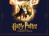 Harry Potter and the Cursed Child in Orlando
