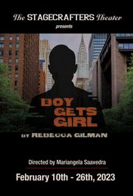 Boy Gets Girl show poster