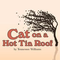 Cat on a Hot Tin Roof