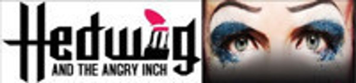 Hedwig and the Angry Inch show poster