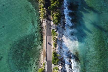 Pasifika Film Festival show poster