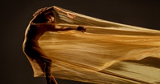 Alonzo King LINES Ballet Deep River show poster