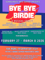 Bye Bye Birdie