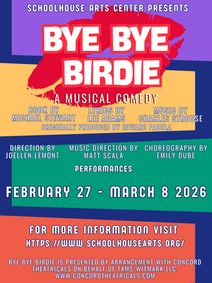 Bye Bye Birdie show poster