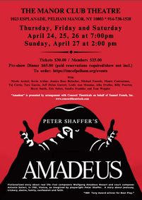 AMADEUS show poster