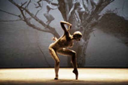 Digidance presents Deborah Colker Dance Company’s Dog Without Feathers show poster
