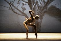 Digidance presents Deborah Colker Dance Company’s Dog Without Feathers