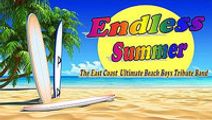 Endless Summer - Beach Boys Tribute Band
