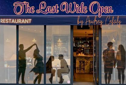 The Last Wide Open by Audrey Cefaly show poster