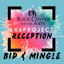 6X6 Project Reception