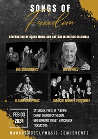 Song of Freedom show poster