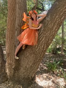 A Faery Hunt's The Missing Faery Light show poster