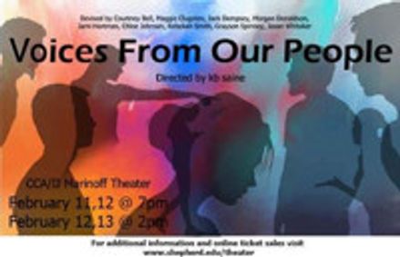 Voices show poster
