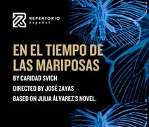 EN EL TIEMPO DE LAS MARIPOSAS