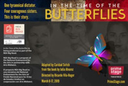 In the Time of the Butterflies show poster